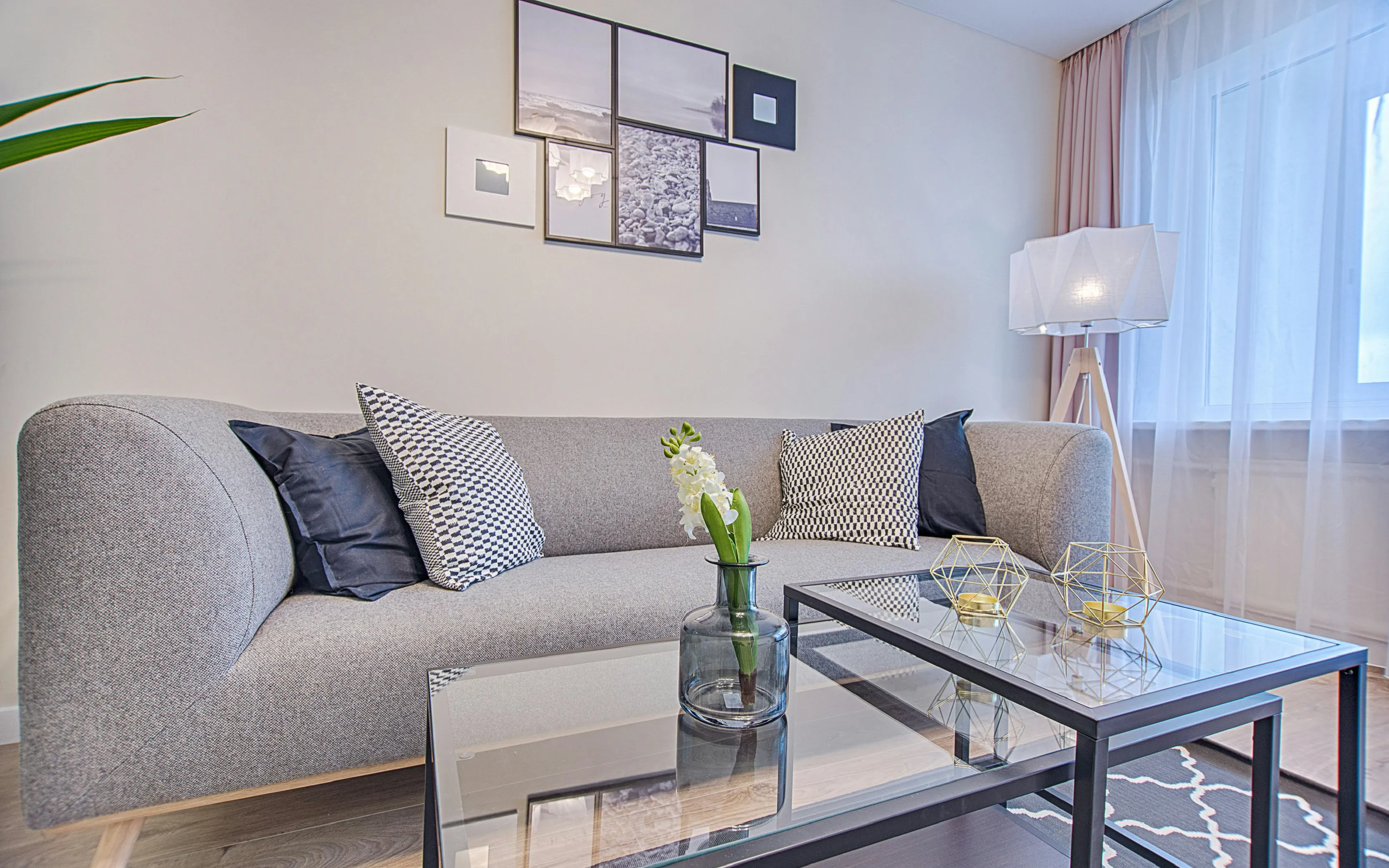 carpet cleaners in Brooklyn, carpet cleaning in Brooklyn, carpet cleaning bkln, carpet cleaners in brooklyn,  commercial carpet cleaning, commercial carpet cleaning in brooklyn,carpet cleaning in brooklyn,  brooklyn rug cleaners, rug cleaning services in brooklyn, same day carpet cleaning, same day rug cleaning